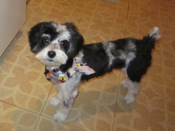 Archie After