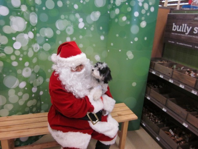Santa1