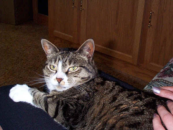 critter00C.JPG (154554 bytes)