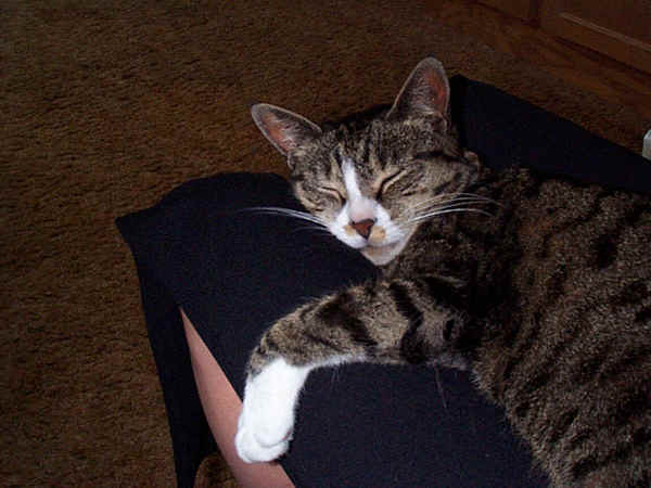 critter00D.JPG (150737 bytes)