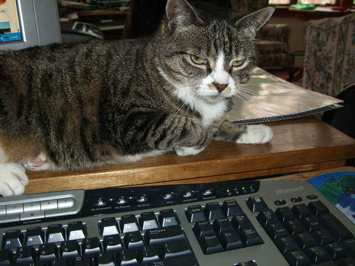 c2004_1.jpg (224486 bytes)