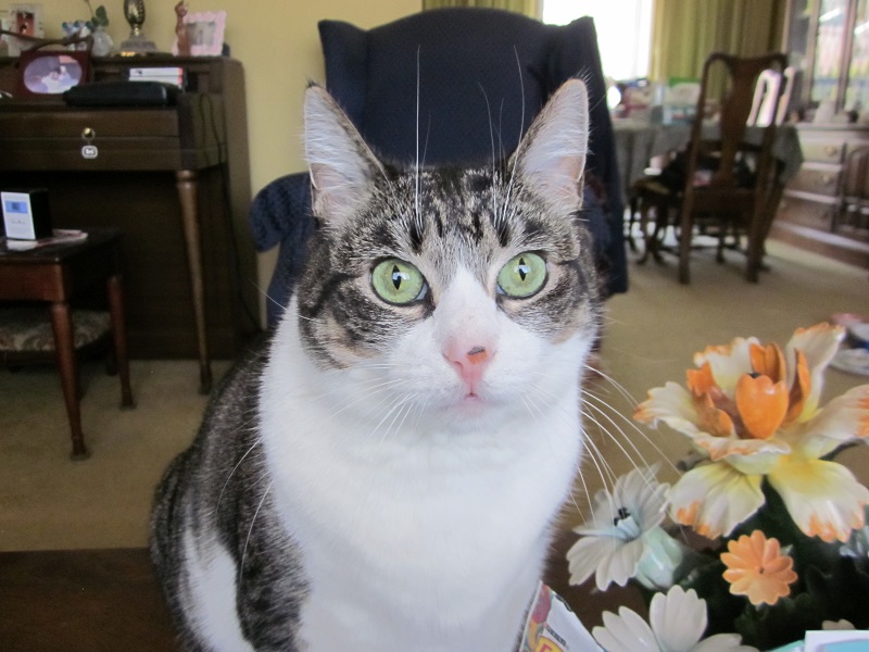 fiona