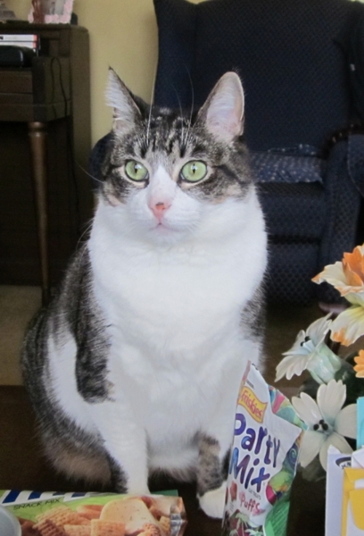 Fiona2016A1