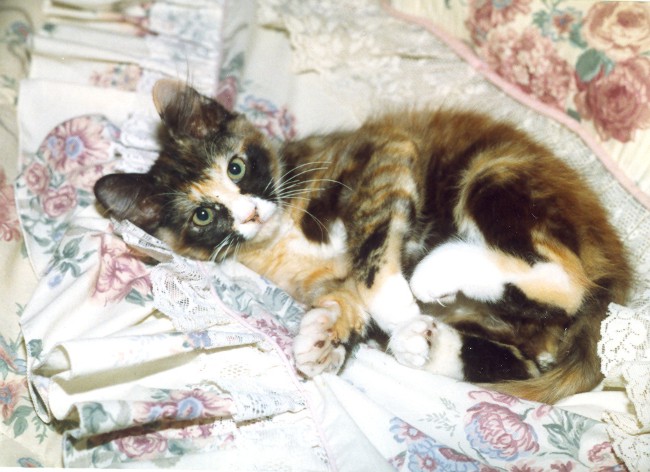 1994_2.jpg (84894 bytes)