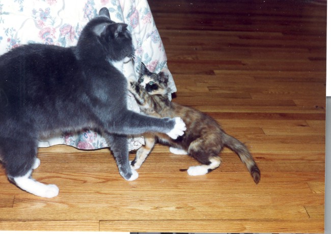 1994_3.jpg (77547 bytes)
