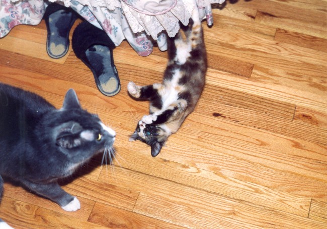 1994_6.jpg (100766 bytes)