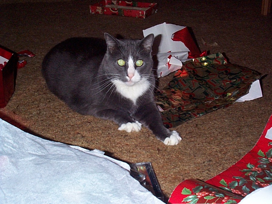 1998_1.jpg (177532 bytes)