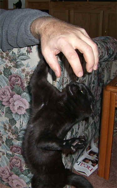 Feb2006_27A.JPG (133861 bytes)