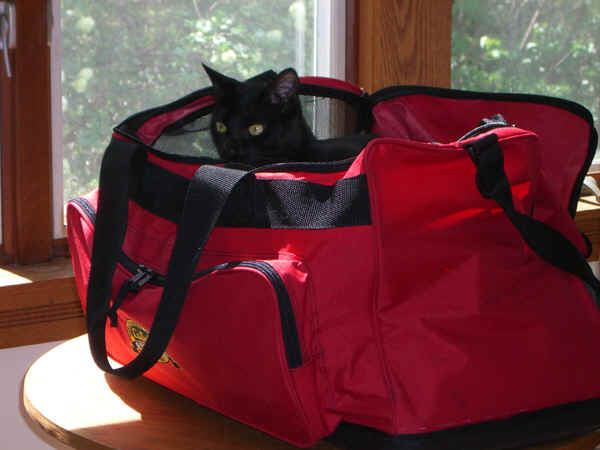 p2007PeteyA in red bag.jpg (281673 bytes)