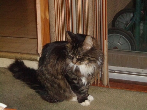 princess2