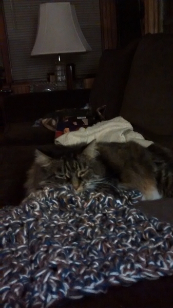 Princessblankie3