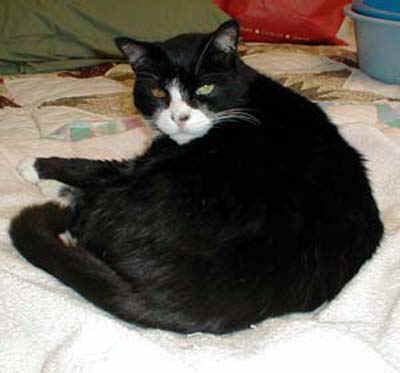 sammy2.jpg (36377 bytes)